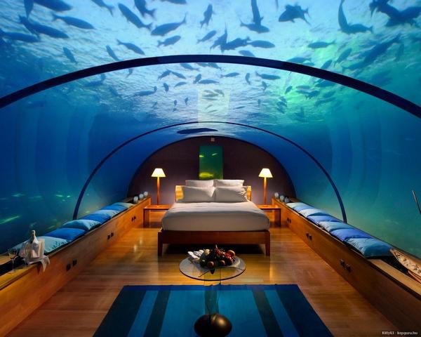 Toad Creative And Cool Bed Rooms Designs